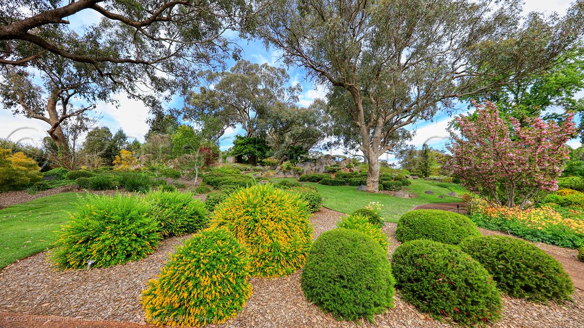 Peter Bellingham Photography Japanese Garden - Cowra